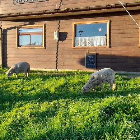 Cafe & Hostal Acurruka Curacautín 외부 사진